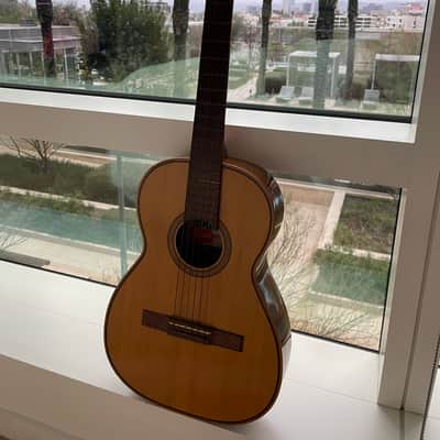 Giannini GN50 Early 1970s - Brazilian Mahogany & Rosewood Varnish image 2