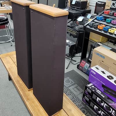 DCM Time Frame TF250 2-Way Floor Speakers 1980s - Black/Natural image 2