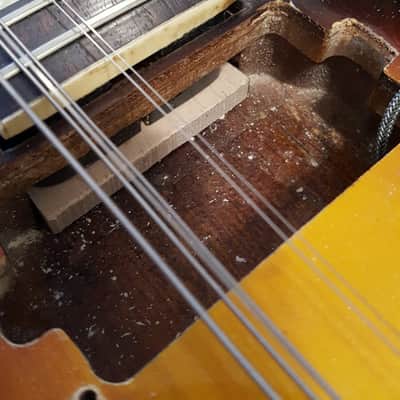 1970's Electra LP Custom Gibson Pickups Fully Rewired image 9