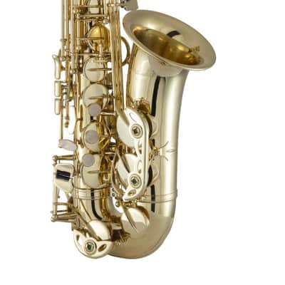 Prelude by Selmer PAS111 Student Alto Saxophone Outfit (FIREWORKS26) image 3