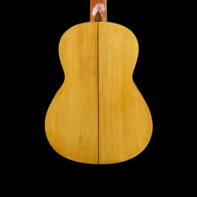 2019 Andrew Smith SP/CY Flamenco Blanca image 2