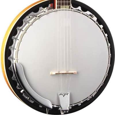 Washburn 5-String Americana B9 Series Resonator Banjo image 1