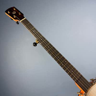 Ode Magician 5-String Openback Banjo 12 inch Cherry image 13
