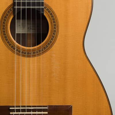 Kolya Panhuyzen Classical Guitar (1999), black hard shell case. image 14