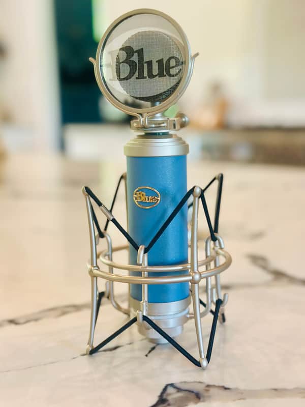 田舎の社畜　レア 完動 BlueMicrophones BlueBird Blue Bluebird Large Diaphragm Cardioid Condenser Microphone | Reverb