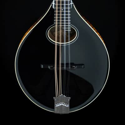 Collings MT-O, Black Gloss Top, Engelmann, Maple - NEW image 3