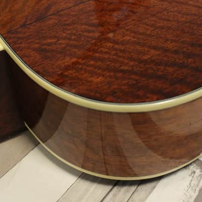 Eastman E6-LGSS TC - Sunburst image 8