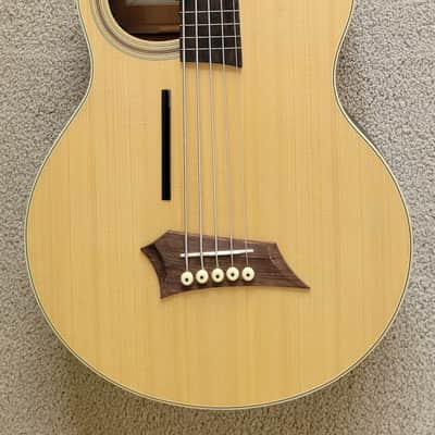 Warwick RockBass Alien Standard 5 String Fretless Acoustic Electric Bass Guitar, Gig Bag image 1