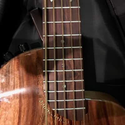 Rick Turner RB5 Fretted 2015 Gloss Renaissance Bass image 12