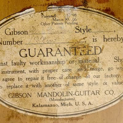 Gibson U-Style Harp Guitar / 1908 / The Shape of Things to Come? image 20