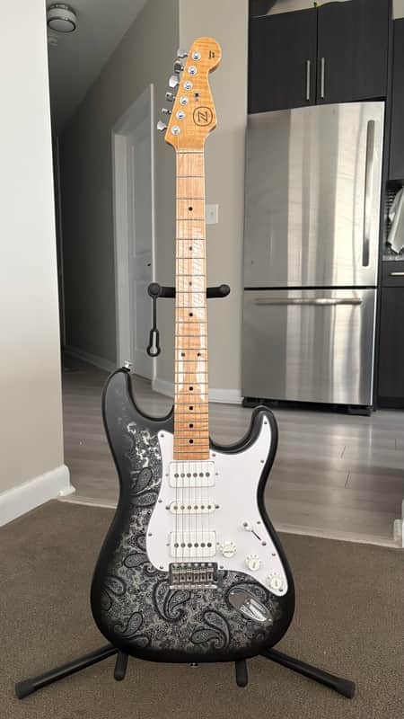 Partscaster Stratocaster 2022 - Paisley Style Matte Black on Silver image 1