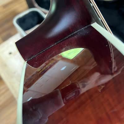 Alvarez Yairi FYM60HD Mahogany image 14
