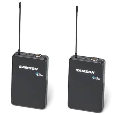 Mint SAMSON Concert 288m Presentation Wireless System (D Band image 3