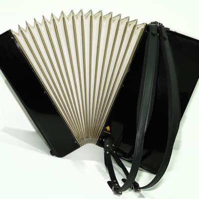 Weltmeister Seperato Standard Accordion 120 Bass, made in Germany, New Straps and Soft Bag for Gift, 2435, Piano Accordian for Adults, Rich and Powerful sound! image 9