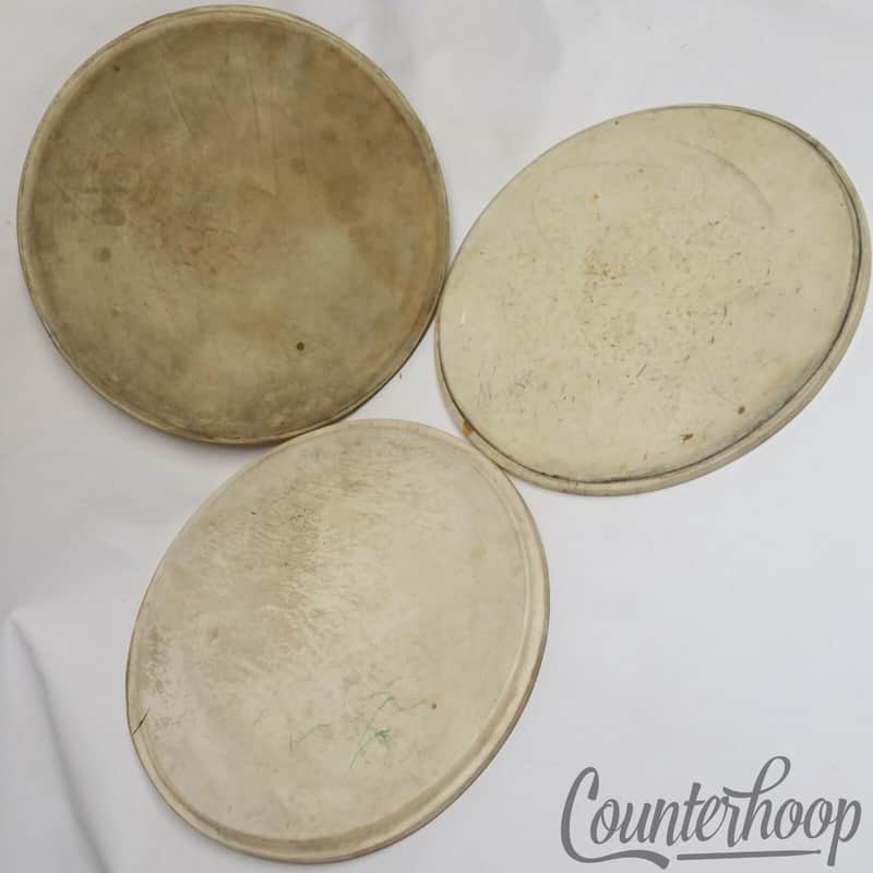 *Lyon & Healy 13" Calf Skin Heads Lot 3x Vintage Tom Drum Calfskin Early 1900s* image 1