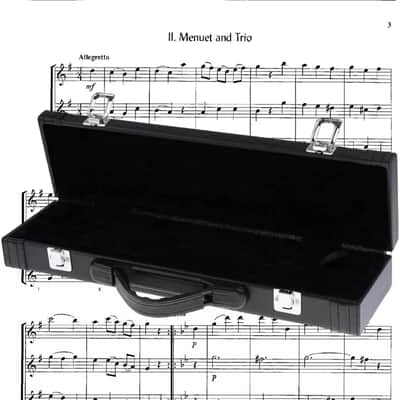 SILVER INTERMEDIATE/STUDENT CONCERT BAND FLUTE-ENGRAVED image 6