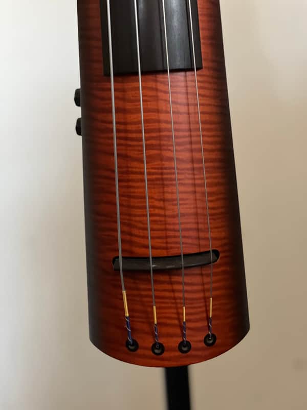 NS Designs NXT4 bass 2000's - passive image 1