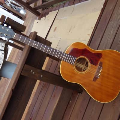 1965 Gibson J-50 round-shouldered Dreadnaught image 19