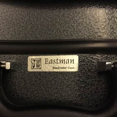 Eastman Fiberglass Guitar Case - CE 151 Black - Archtop, Acoustic, Classical image 13