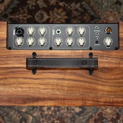 Taylor Circa 74 AV150-10 Amp With Stand - Select Koa image 11