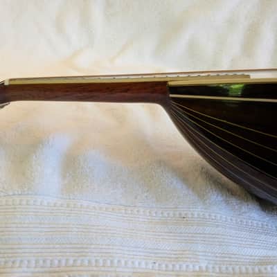 Washburn Model 130 1895-1900 - Gloss image 13