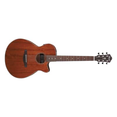 Mint Ibanez AEG220 AEG Series Acoustic Electric Guitar, Solid Okoume Top, Natural image 1
