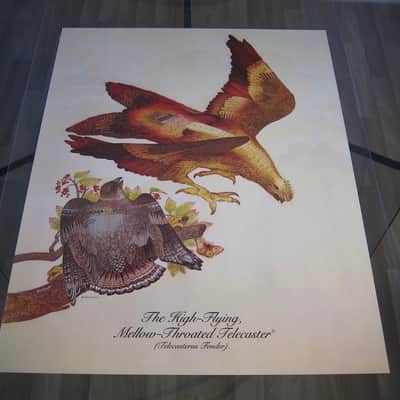 Fender Telecaster & Twin Reverb Authentic Vintage Poster "The High-Flying Mellow-Throated Telecaster" Artist Endicott Circa-1976-Multi Color image 2