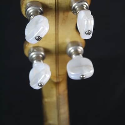 DeWick "Ideal" Tenor Banjo c1920 Very Rare! w/OHSC image 13