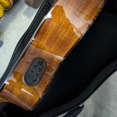 Alvarez Artist AG60ce Armrest Acoustic/Elec. w/Flexi-case, setup, & shipping image 5