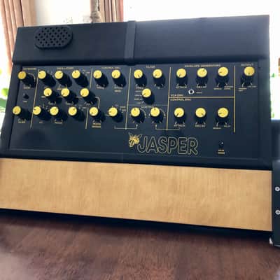 Jasper Synth DP WASP clone with 3D printed enclosure and desktop stand image 1