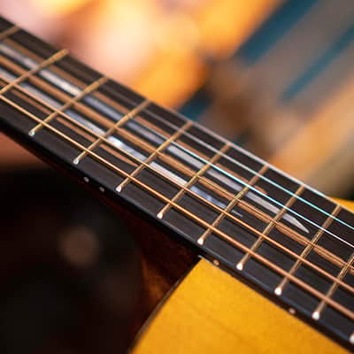 Cort LUXE II | Frank Gambale Signature Concert Acoustic Electric Guitar. New with Full Warranty! image 20