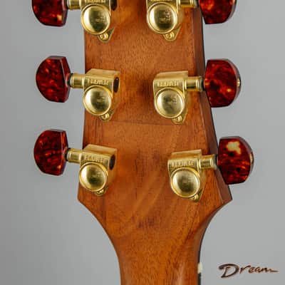 1998-2000 Harvey Leach Dragon, Mahogany/Maple/TW Doyle Pickups image 19