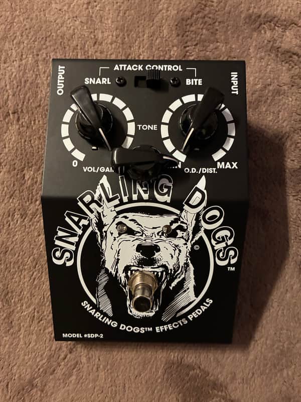 Snarling Dogs Black Dog