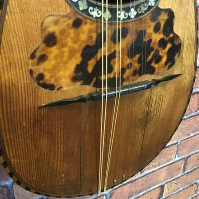 Luigi Fenga Mandolin  1920s image 3