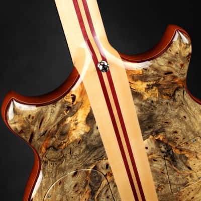 Alembic Stanley Clarke Deluxe - Buckeye Burl image 14