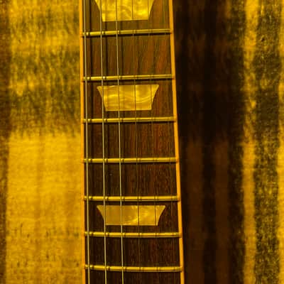 Gibson Les Paul Slash AFD 2010 image 10
