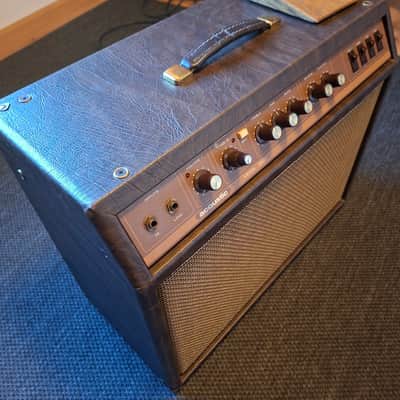 Acoustic G60T mit EV Speaker 1980-1982 - braun image 4