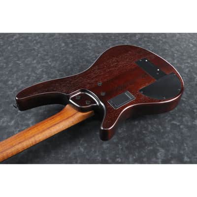 Ibanez SRH505FNNF SR Bass Workshop 5-string Bass - Hollow Body Fretless - Fretless - Natural Browned Burst Flat image 7