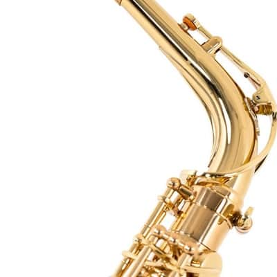 Antigua Vosi Eb Alto Sax All Lacquer Outfit With Case image 6