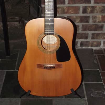 Fender DG-6 Acoustic guitar image 1