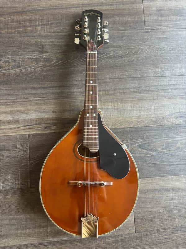 Sigma Mandolin 8 - string SM - 3 1970s image 1