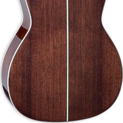 Takamine GY51E Parlor Acoustic-Electric Guitar, Solid Spruce Top, Gloss Brown Sunburst image 3