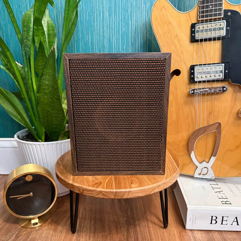1985 Realistic Minimus-0.5 (Astro) 4" Guitar Cabinet • 8Ω • 10W image 1