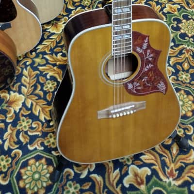 Epiphone Hummingbird image 5