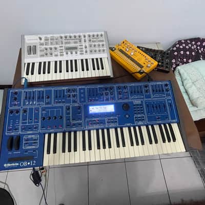 Oberheim OB-12 49-Key 12-Voice Synthesizer