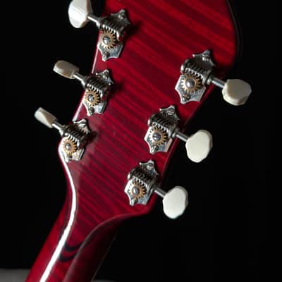 Tad Brown Archtop 16" Acoustic Calton Case image 16