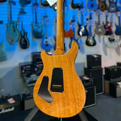 PRS Wood Library Custom 24 Fatback - Custom Color - Quilt 10 Top, Brazilian RW, Paisley Case 293 image 20
