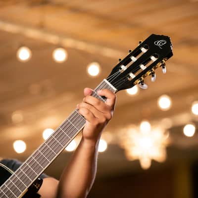 Ortega RCE145BK Family Series Pro Solid Spruce Top Mahogany Neck Cutaway Nylon 6-String Classical Acoustic-Electric Guitar w/Gig Bag image 23