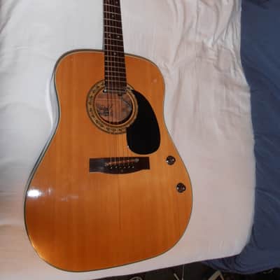 Vintage 1971 Alvarez 5046 Acoustic Electric Guitar image 3