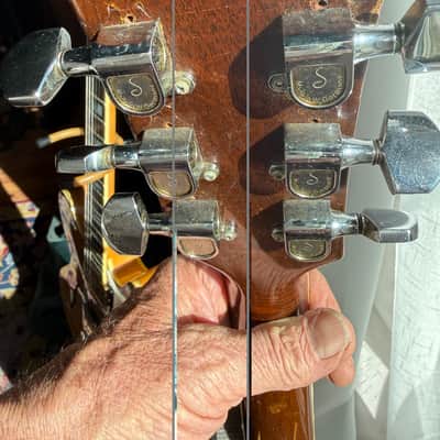 Gibson ES-175 1957 - 1969 image 5